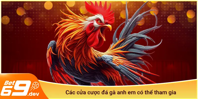 Các cửa cược đá gà Bet69 anh em có thể tham gia