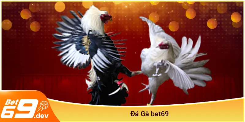 Đá gà Bet69