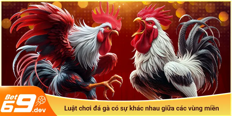 Luật chơi đá gà Bet69 có sự khác nhau giữa các vùng miền