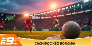 Cách đọc kèo bóng đá