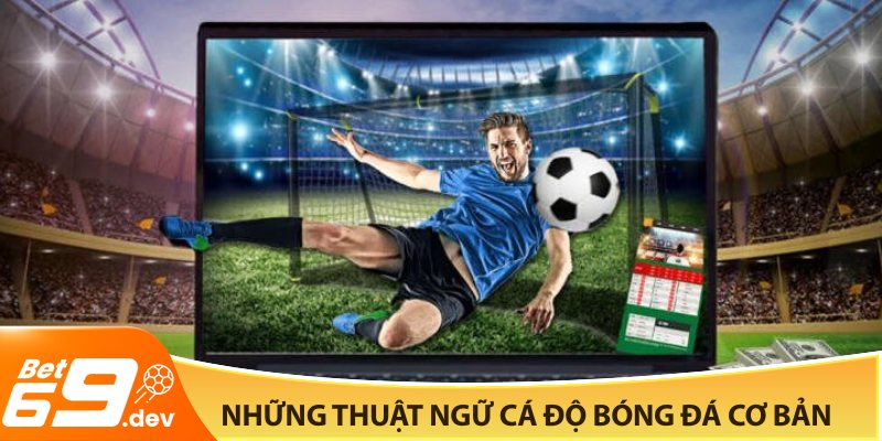 Những thuật ngữ cá độ bóng đá cơ bản
