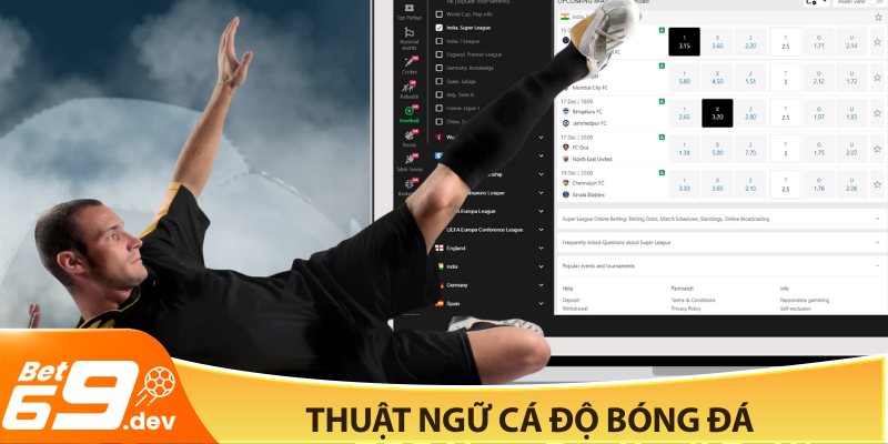 Thuật ngữ cá độ bóng đá