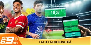 Cách cá độ bóng đá