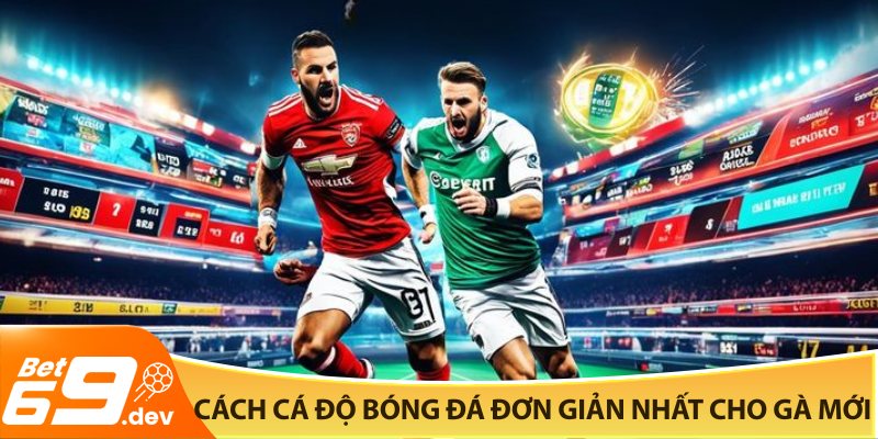 Cách cá độ bóng đá đơn giản nhất cho gà mới