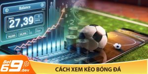Cách xem kèo bóng đá