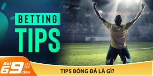 Tips bóng đá là gì