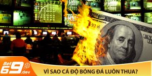 Vì sao cá độ bóng đá luôn thua