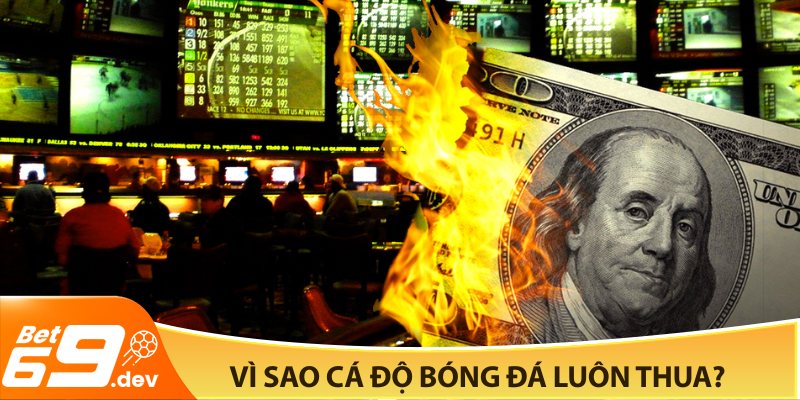 Vì sao cá độ bóng đá luôn thua