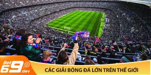 Các giải bóng đá lớn trên thế giới