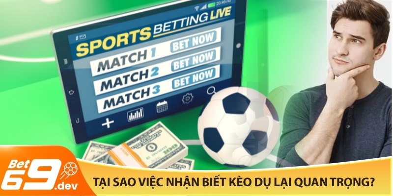 Tại sao việc nhận biết kèo dụ lại quan trọng đến vậy?